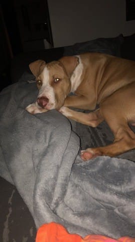 Mon staff est t-il croisé ?!