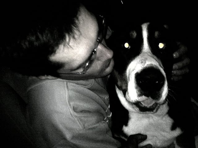 rencontres canines 60