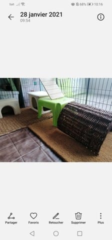 J'aimerais votre avis concernant l'enclos de mes lapins