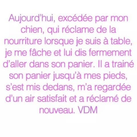 Une VDM très rigolote !