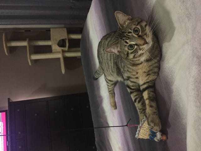 Ryan veut découvrir la terrasse