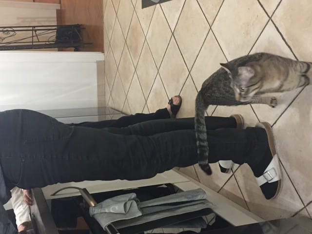 Ryan n’utilse Pas ses griffoirs