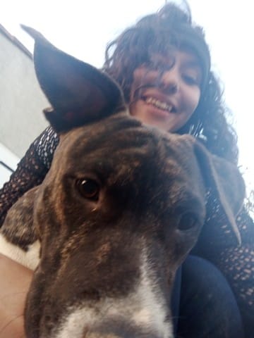 Chien qui prédate d'autre chiens ?