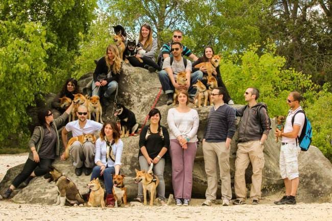 Notre Page Facebook de renconre canines ;)