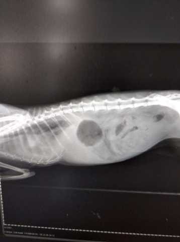 Besoin de vos Avis SVP !!