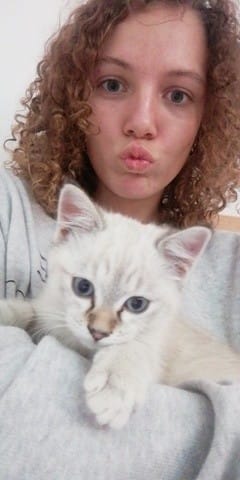 Mon chaton a peur de moi