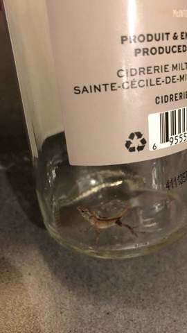 Besoin daide pour identification