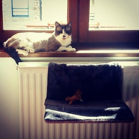Avez vous testé... le hamac pour radiateur?