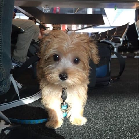 Sauriez-vous le reconnaître ?