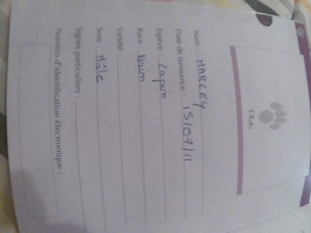 Comment s'appelle un lapin plus petit que le nain ?