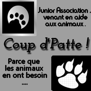 Une Junior Association : Coup d'Patte !