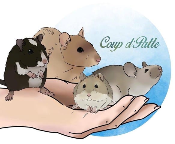 Junior Association "Coup d'Patte"