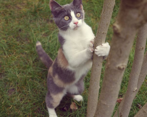 Photo, une passion !