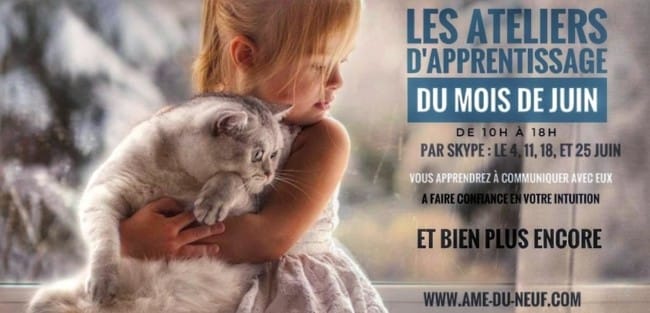 Ateliers d'apprentissage à la communication animale
