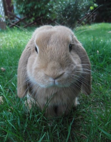 Fière de mon loulou !
