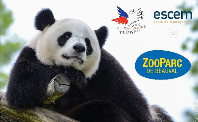 Aidez-nous à emmener des enfants du SP au Zoo de Beauval pour découvrir les animaux! :)
