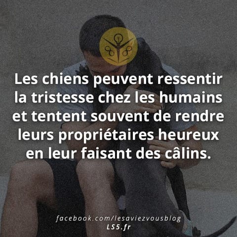 Listes de chiens originaux , pas commun ?