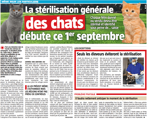 A lire pour vos chats et chatons 
