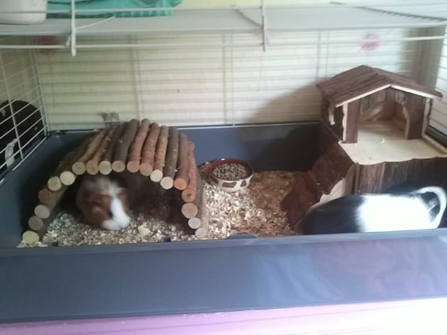 Je viens de recevoir ma commende ^^ Voila quelques ptit photos ;) 