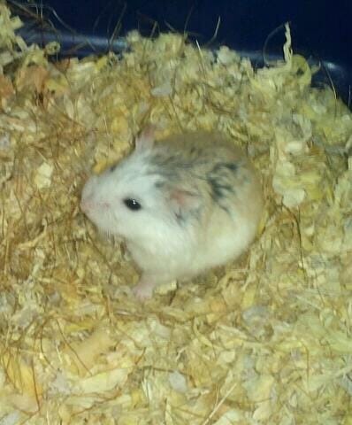 Aurevoir Matty ♥♥ 