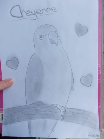 Vos/Mes dessins...