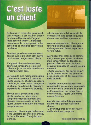 "Juste un chien"...