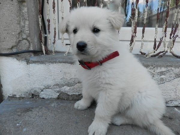 Une histoire inattendu qui commence