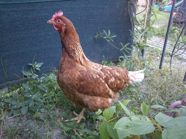 Décidement, ils veulent qu'on les trouvent!