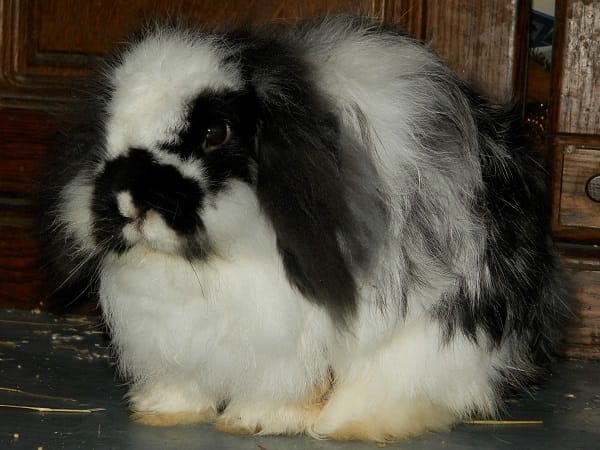 Un départ.... Et une arrivée...