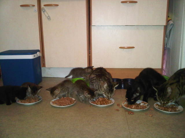 Repas en famille 