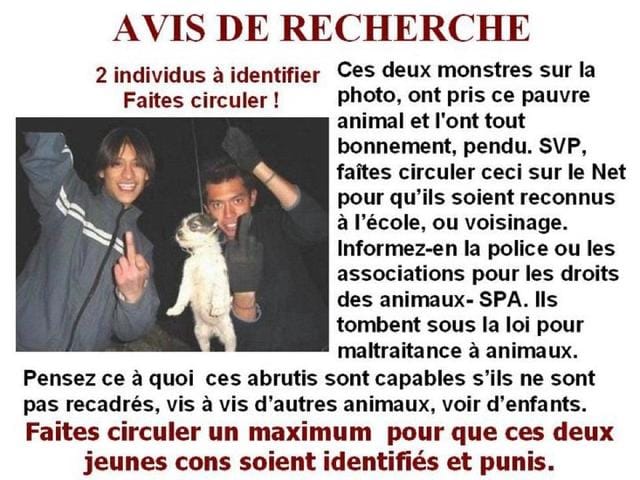 des monstres !!!!!! 