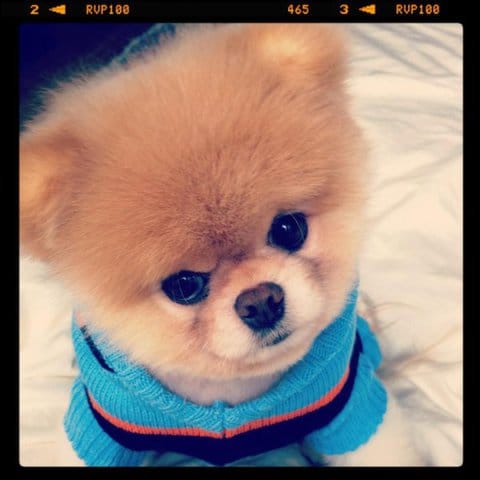 Boo (ptit hommage) :)