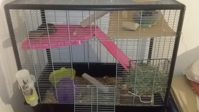 La cage de ma boule de poils