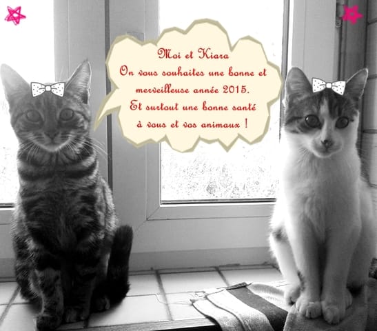 Pour la nouvelle année [ Photos ]