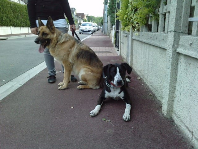 Baykah et Belle comme mere et fille! lol