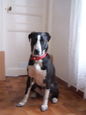 concours tête de malheureux ;)