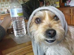 votez ! concours tête de malheureux!