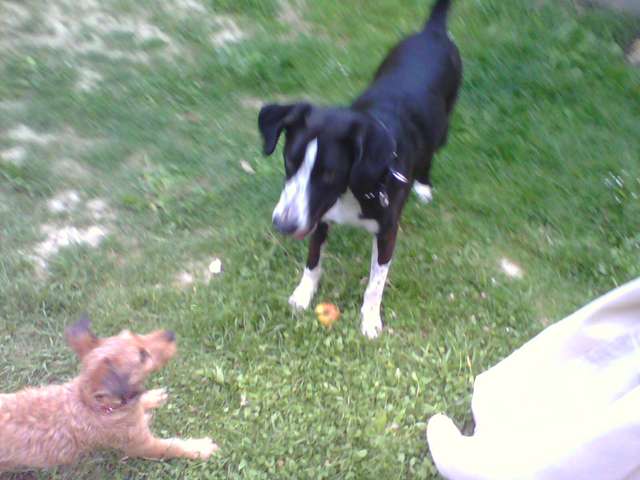 Belle, sa maman(Princesse), et un copian (Jack)
