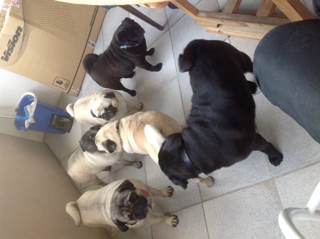 Et vous d'où venez vous?