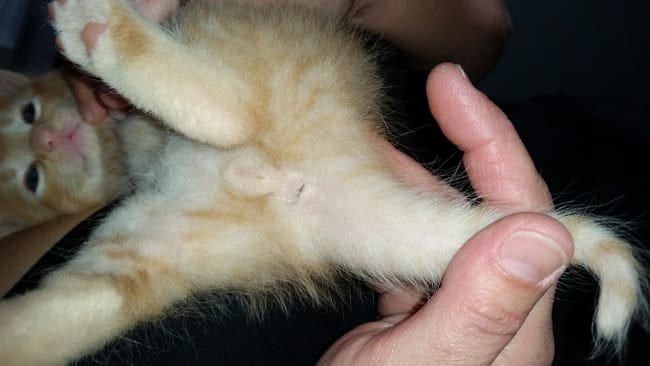 besoin de votre aide!!!