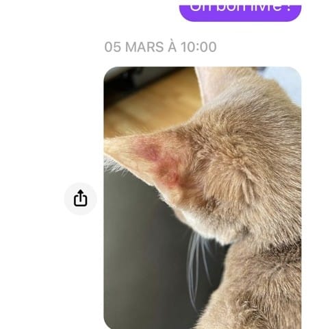 Selon vous c’est la Teigne ?