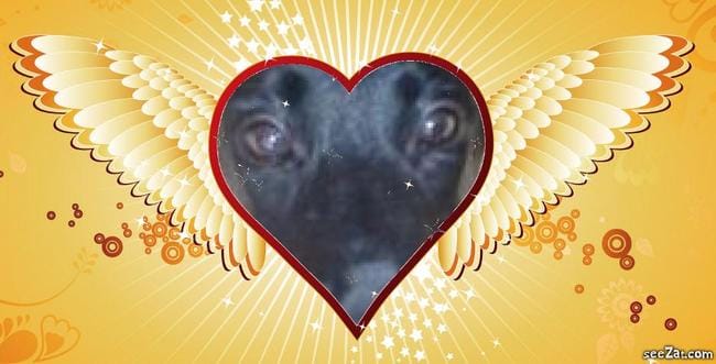 Montage gratuit photo