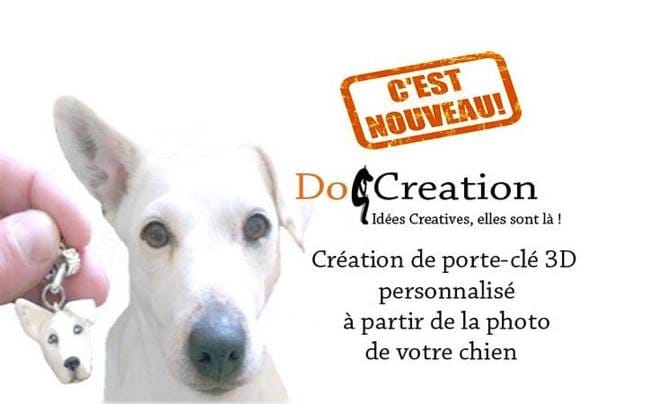 DIY - DogCreation - Porte clé chien personnalisé à partir d'une photo