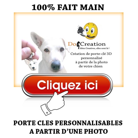 Votre chien en porte-clé personnalisable à partir d'une photo