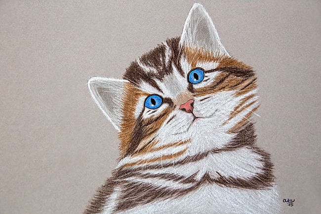 Portraits dessinés / peints de vos animaux d'après photo