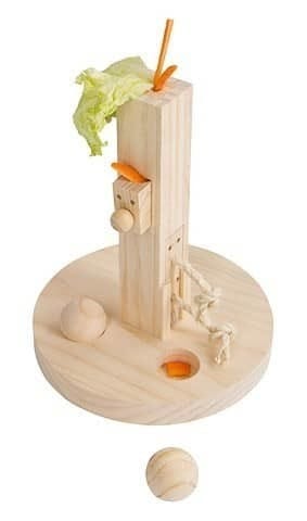 Jouer pour hamster doré