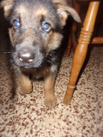 Jinny un ptit rayon de soleil très attendu 