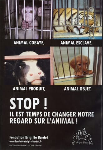 voulez-vous des affiches pour la cause animale?
