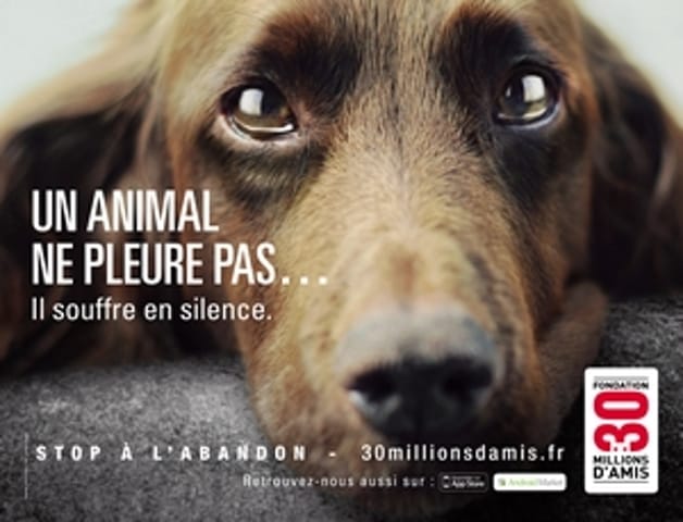 Affichez pour les droits des animaux!