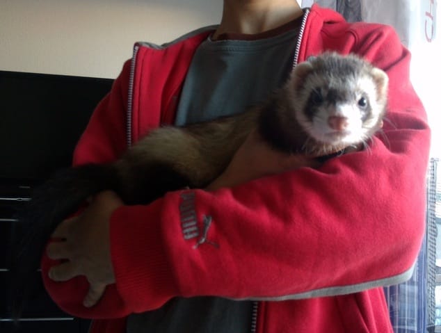 chute du 4 eme etage 